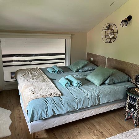 Domancy Duplex 3 Chambres Vue Mont-Blanc מראה חיצוני תמונה