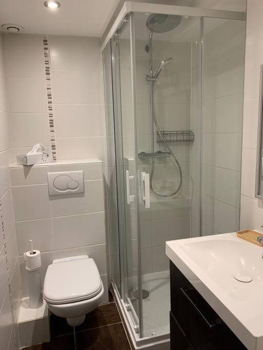 Domancy Duplex 3 Chambres Vue Mont-Blanc מראה חיצוני תמונה